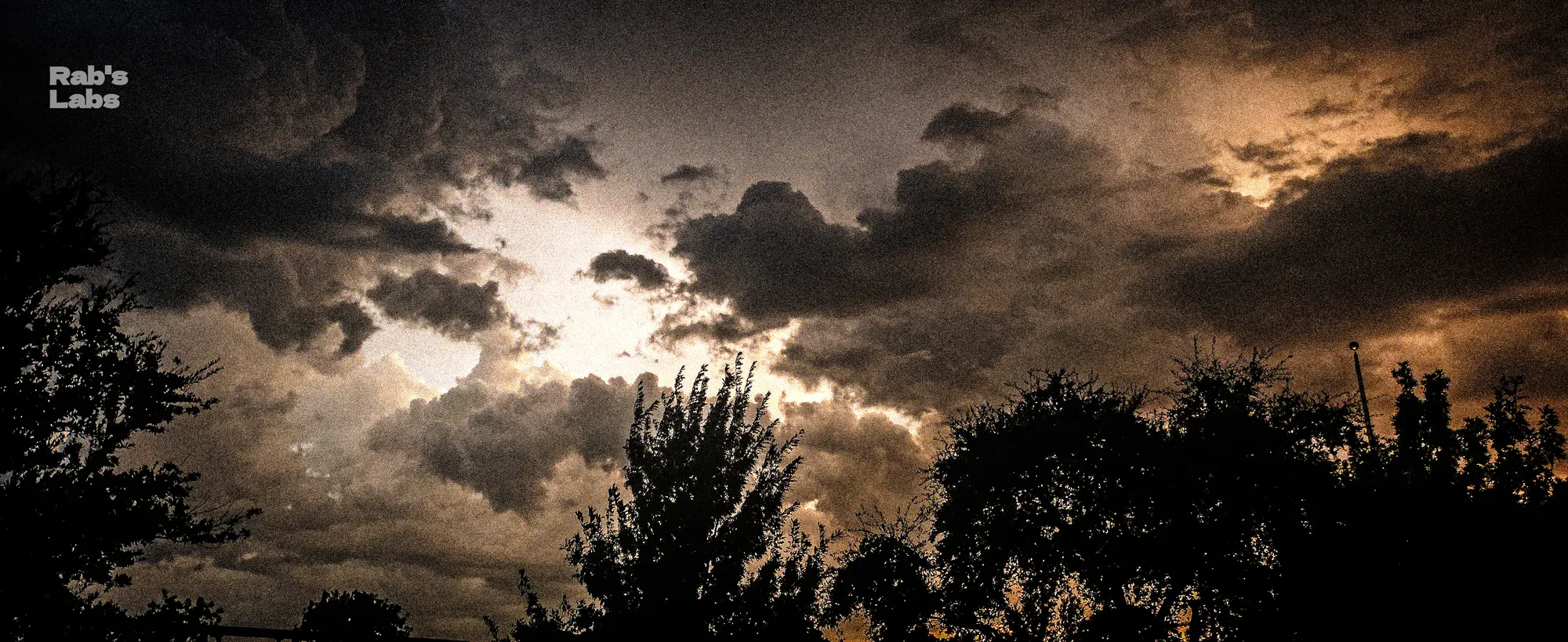 Silver-lined storm clouds above dark tree silhouettes